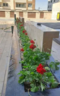 خدمات باغبانی و اجرای فضای سبز
