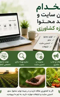 ادمین سایت براتولید محتوا وسئو (خانم)