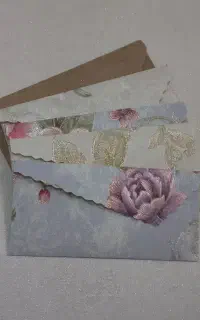 پاکت پول و سکه