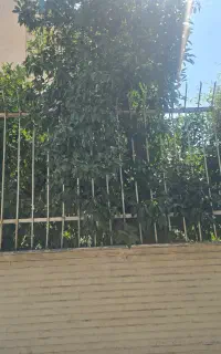 اجاره دفتر.. ساعتی /روزانه /ماهانه