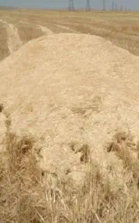 خرید وفروش کاه کمباین
