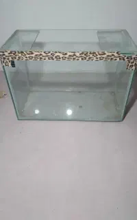 اکواریوم