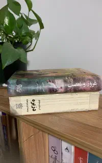 رمان غروروتعصب ،دزیره