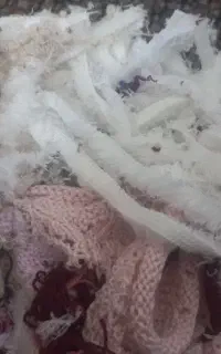 الیاف