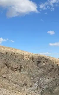 ۲ تن گندم