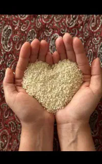 سرلاشه هاشمی درجه ۱