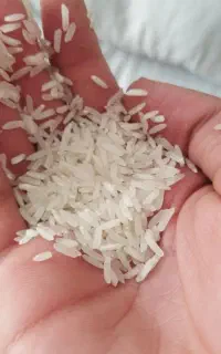 برنج تایلندی 25کیلیوی