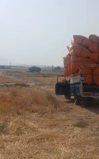 کاه