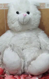خرس بزرگ