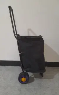 سبد چرخدار