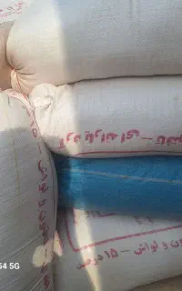 فروش سویا دامی