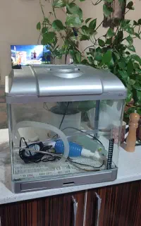 آکواریوم شیشه خم