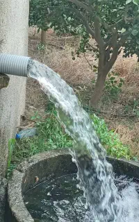 آبیابی