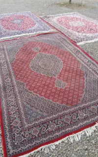 فرش ۶ متری ماهی لاکی و دوتخته دیگه