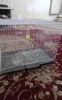 قفس پرنده