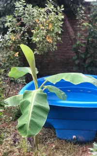 استخر فایبر گلاس بابل صنعت سایز بزرگ با کاور
