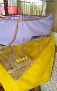 قفس پرنده
