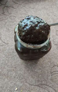 رب آلوچه جنگلی دیلمان بسیارترش غلیظ وسیاه