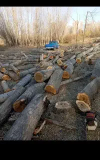 برش انواع چوب