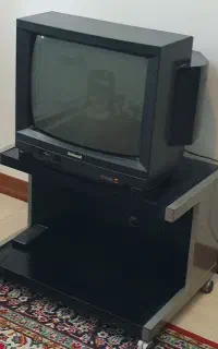 تلویزیون