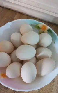 ۳۰ عدد تخم مرغ