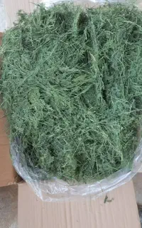 سبزی خشک