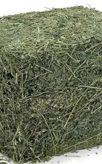 فروش یونجه خوراک دام