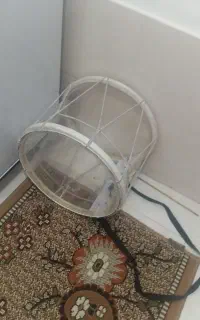 دهل و تبل عروسی