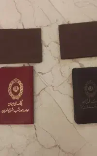 کیف کارت قهوه ای گمشده کوشان نصیرالاسلامی