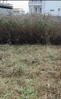 خدمات کشاورزی