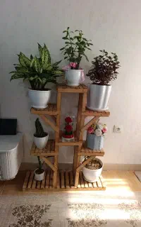 استند گل