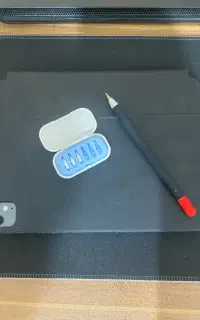Ipad pro M4 11inch 256g lla