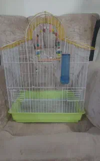 قفس کد دار