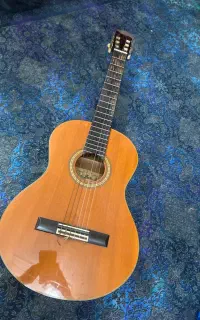 گیتار AK20