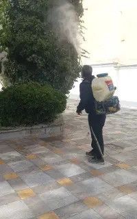 باغبانی ودرختکاری حرس کاری