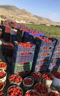 تناژ۲برابری و کیفیت بالا می‌خوای شمارتو بزار