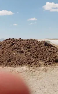 کود حیوانی