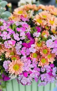 تدوین و ادیت حرفه‌ای اینستاگرام (دورکار)