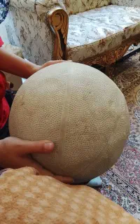 توپ بسکتبال