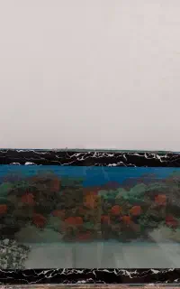 آکواریوم