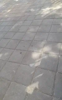 کاشی کاری