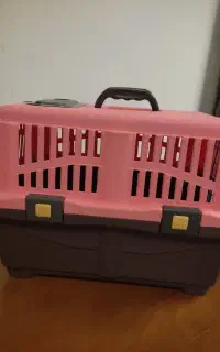 باکس گربه