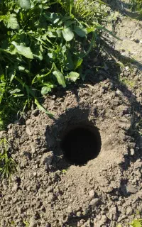 چاله کن و علف تراش و هرس وسم پاشی