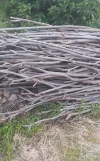 تکیه گاه یا حاچا