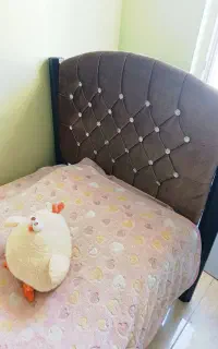 دو عدد تخت جوان با یک تشک ۵تومان