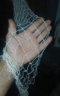 تور ابریشمی