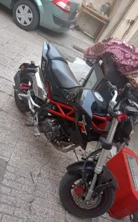 بنلی135 TNT زیبا کوچیک