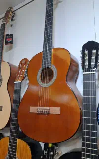 گیتار hofner As (فروشگاه تیموری)