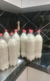 برنج