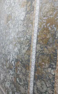 نقش وینتیج اشرافی ۷۰۰ شانه ۲۵۵۰ تراکم جدید رسید